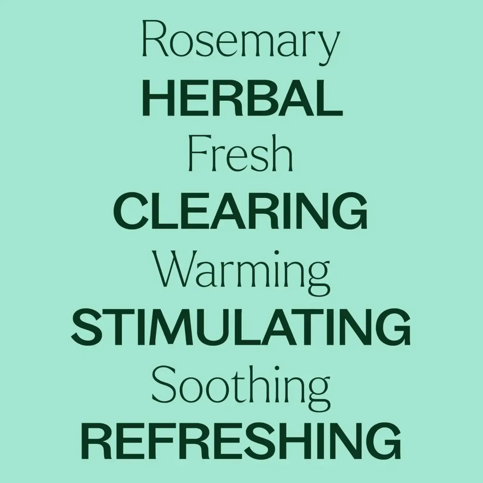 Plant Therapy Rosemary 1,8-Cineole Essential Oil 10 mL