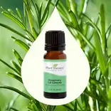 Plant Therapy Rosemary 1,8-Cineole Essential Oil 10 mL