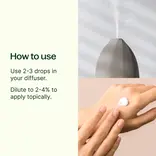 Plant Therapy Rosemary 1,8-Cineole Essential Oil 10 mL