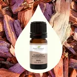 Plant Therapy Sandalwood Australian Essential Oil 5 mL