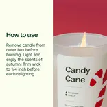 Plant Therapy Candy Cane Naturally Scented Candle