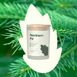 Plant Therapy Northern Fir Naturally Scented Candle 8 oz