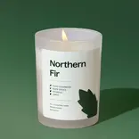 Plant Therapy Northern Fir Naturally Scented Candle 8 oz