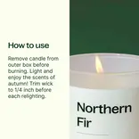 Plant Therapy Northern Fir Naturally Scented Candle 8 oz