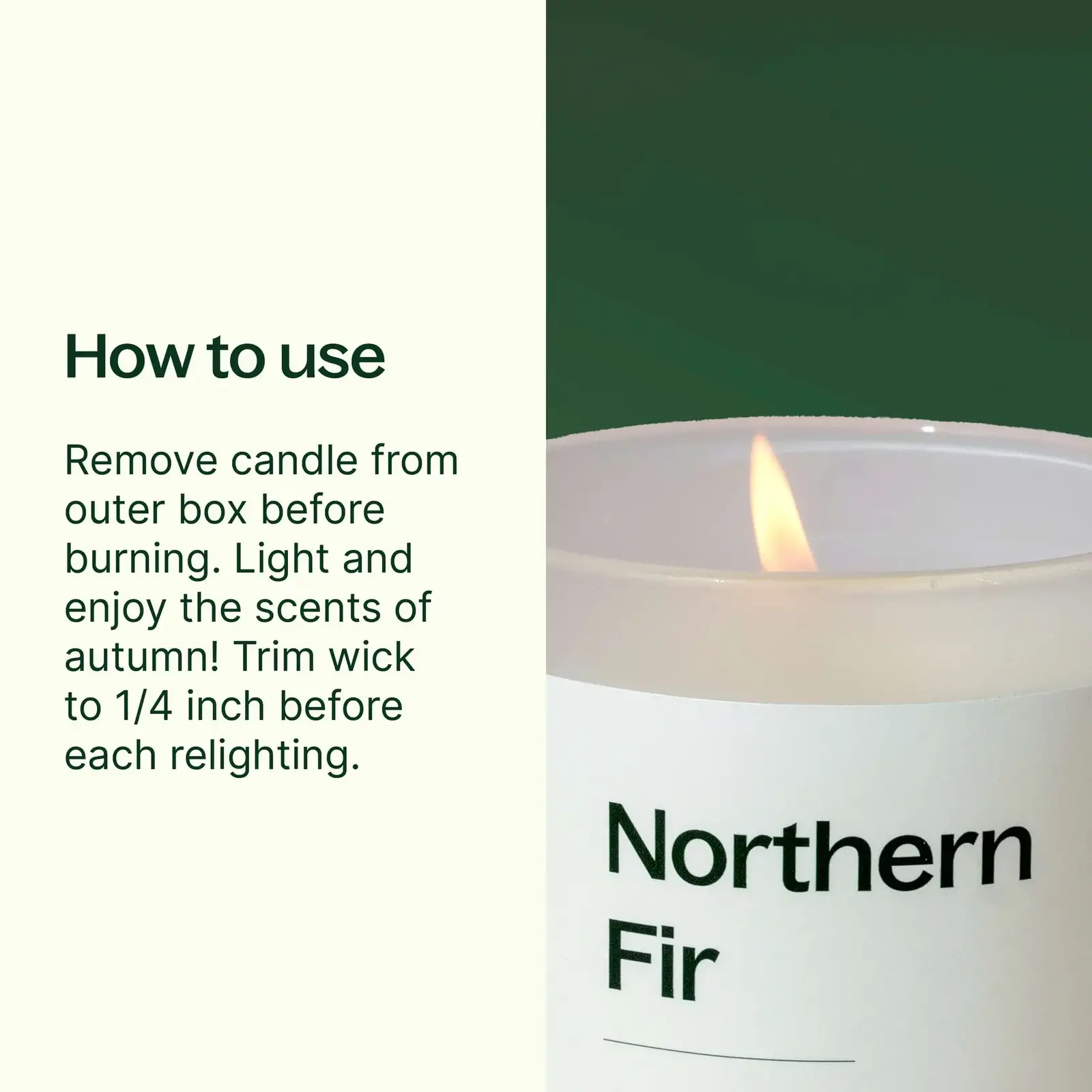 Plant Therapy Northern Fir Naturally Scented Candle 8 oz