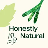 Plant Therapy Northern Fir Naturally Scented Candle 8 oz