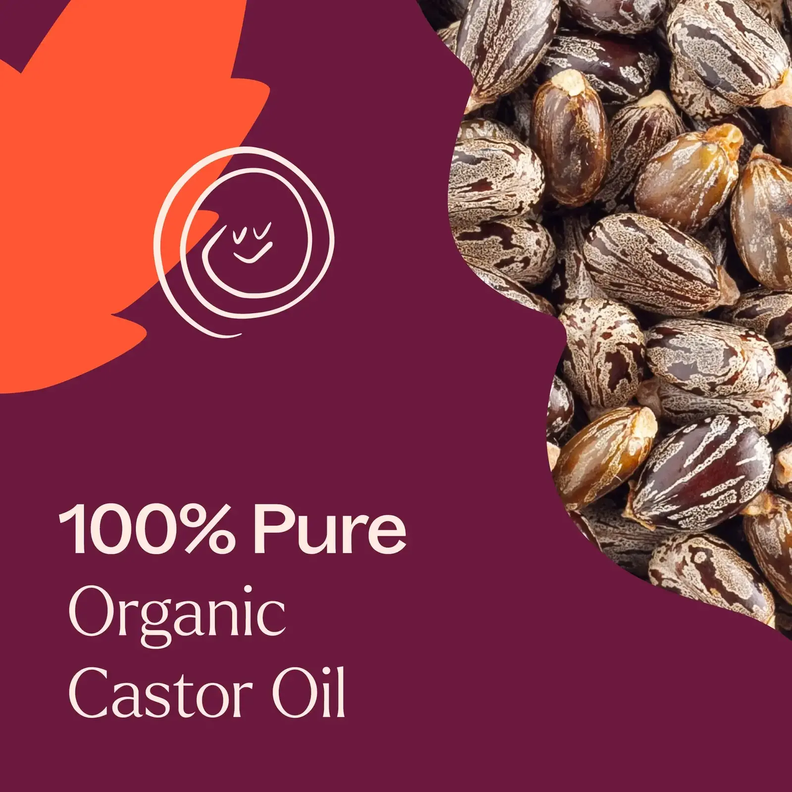 Plant Therapy Organic Castor Carrier Oil 32 oz