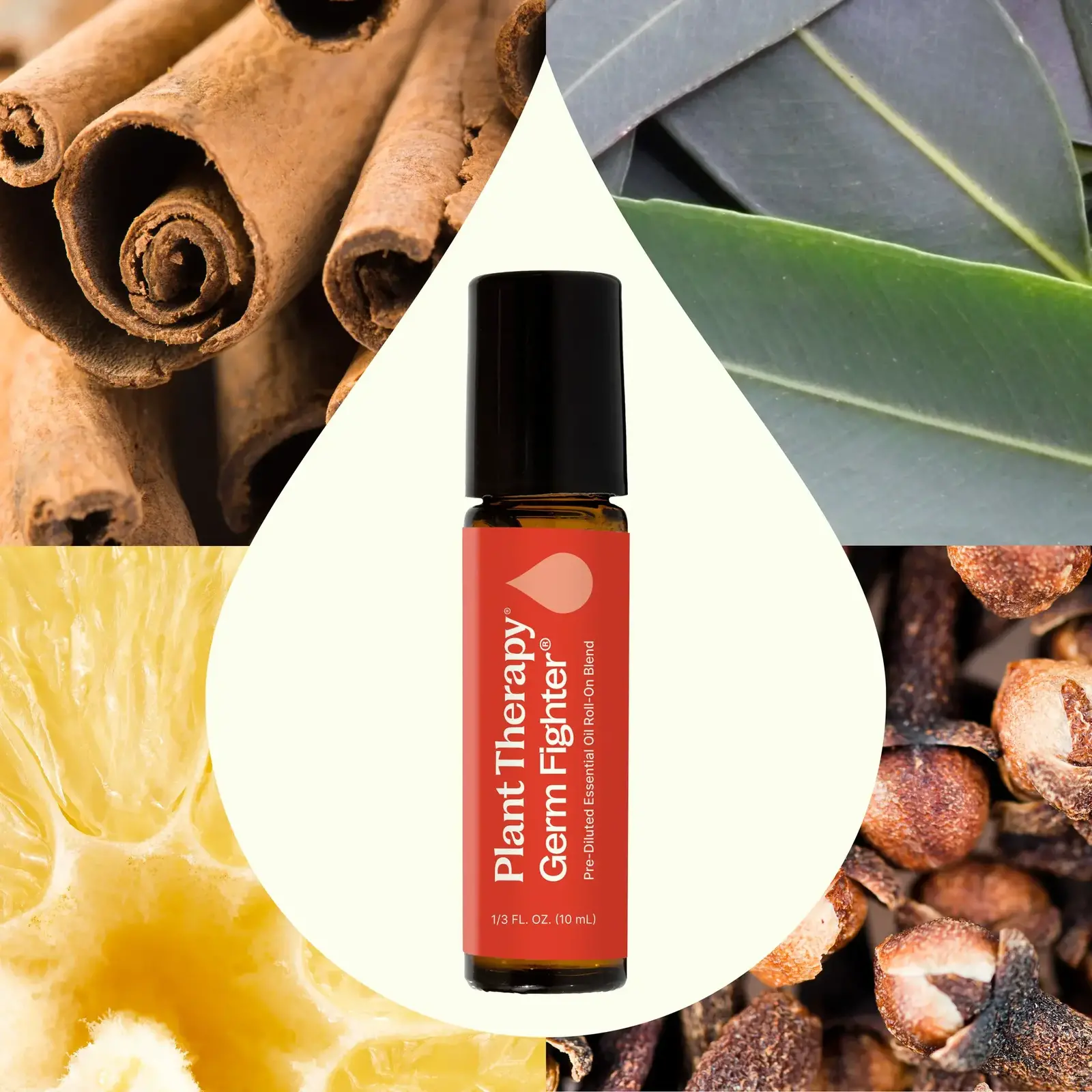 Plant Therapy Germ Fighter Synergy Pre-Diluted Essential Oil Roll-On10 mL