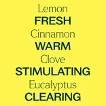 Plant Therapy Germ Fighter Synergy Pre-Diluted Essential Oil Roll-On10 mL
