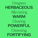Plant Therapy Oregano Essential Oil 10 mL