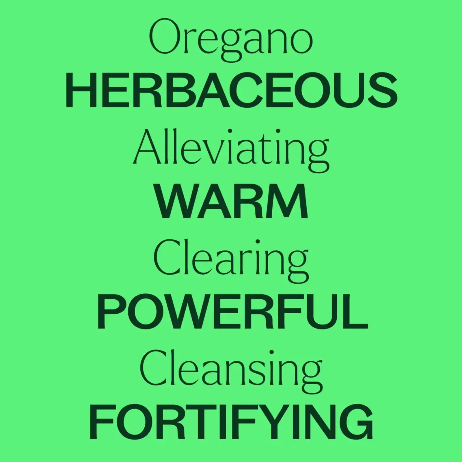 Plant Therapy Oregano Essential Oil 10 mL
