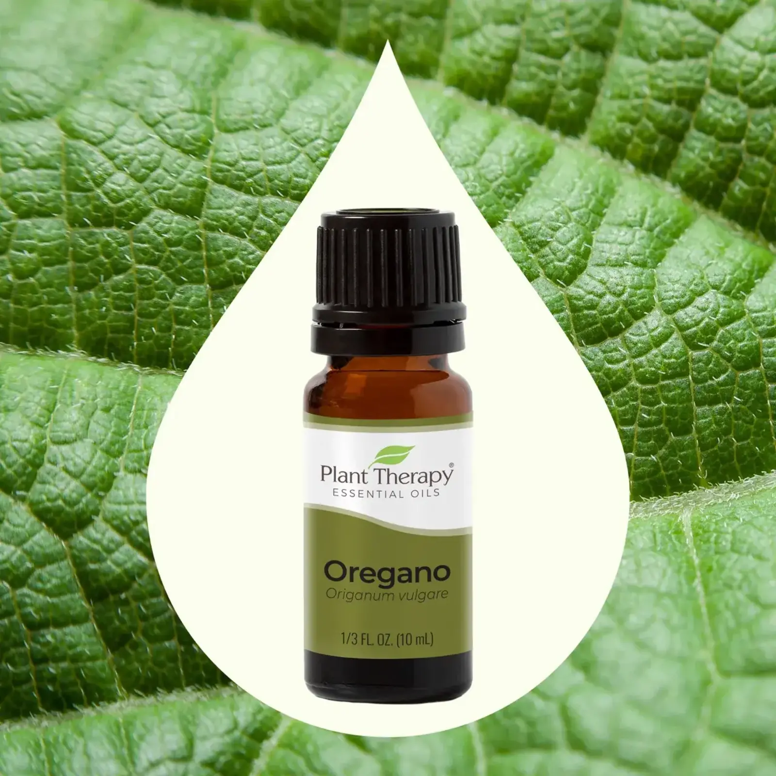 Plant Therapy Oregano Essential Oil 10 mL