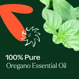 Plant Therapy Oregano Essential Oil 10 mL