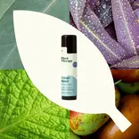 Plant Therapy Cough Relief Clearing Chest Rub - 0.5oz