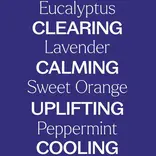 Plant Therapy Breathe Easy Set