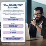 Barleans Mood Drops-Resilient