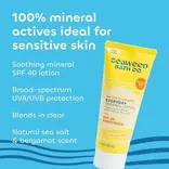 Seaweed Bath Co Seaweed Bath Co Everyday Mineral Sunscreen Lotion SPF 40 - 3.4 oz