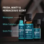 Plant Therapy Muscle Aid Synergy Essential Oil 10 mL