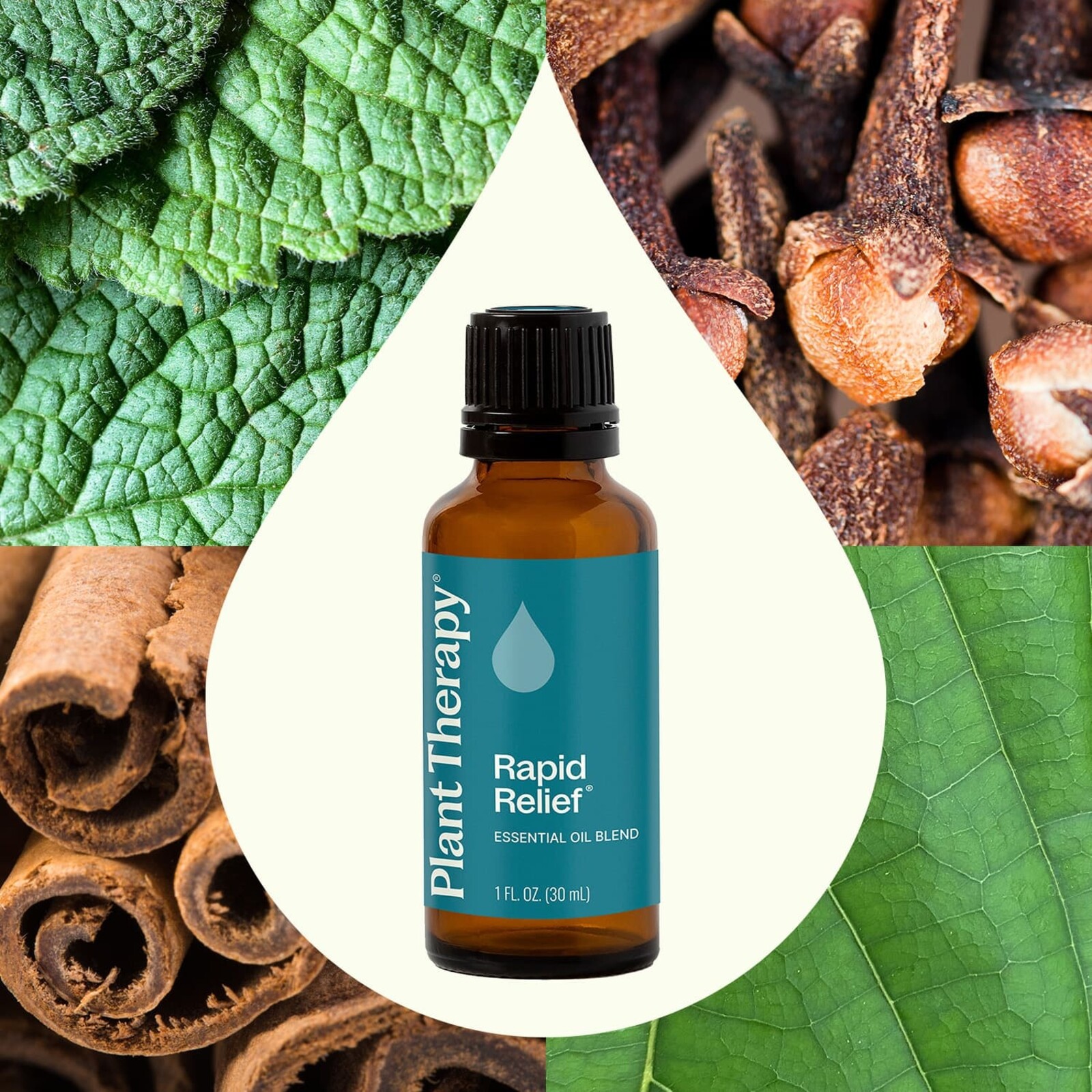 Plant Therapy Rapid Relief Synergy Essential Oil 10 mL