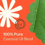 Plant Therapy Rapid Relief Synergy Essential Oil 10 mL