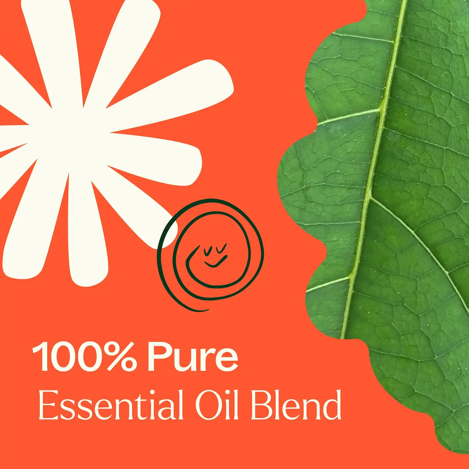 Plant Therapy Rapid Relief Synergy Essential Oil 10 mL