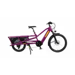 Yuba Spicy Curry V4- Very Berry