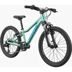 Cannondale Cannondale Trail Kids 20