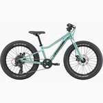 Cannondale Cannondale Kids Trail Plus 20