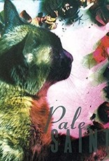 Pale Saints - The Comforts of Madness (30th Anniversary Reissue)