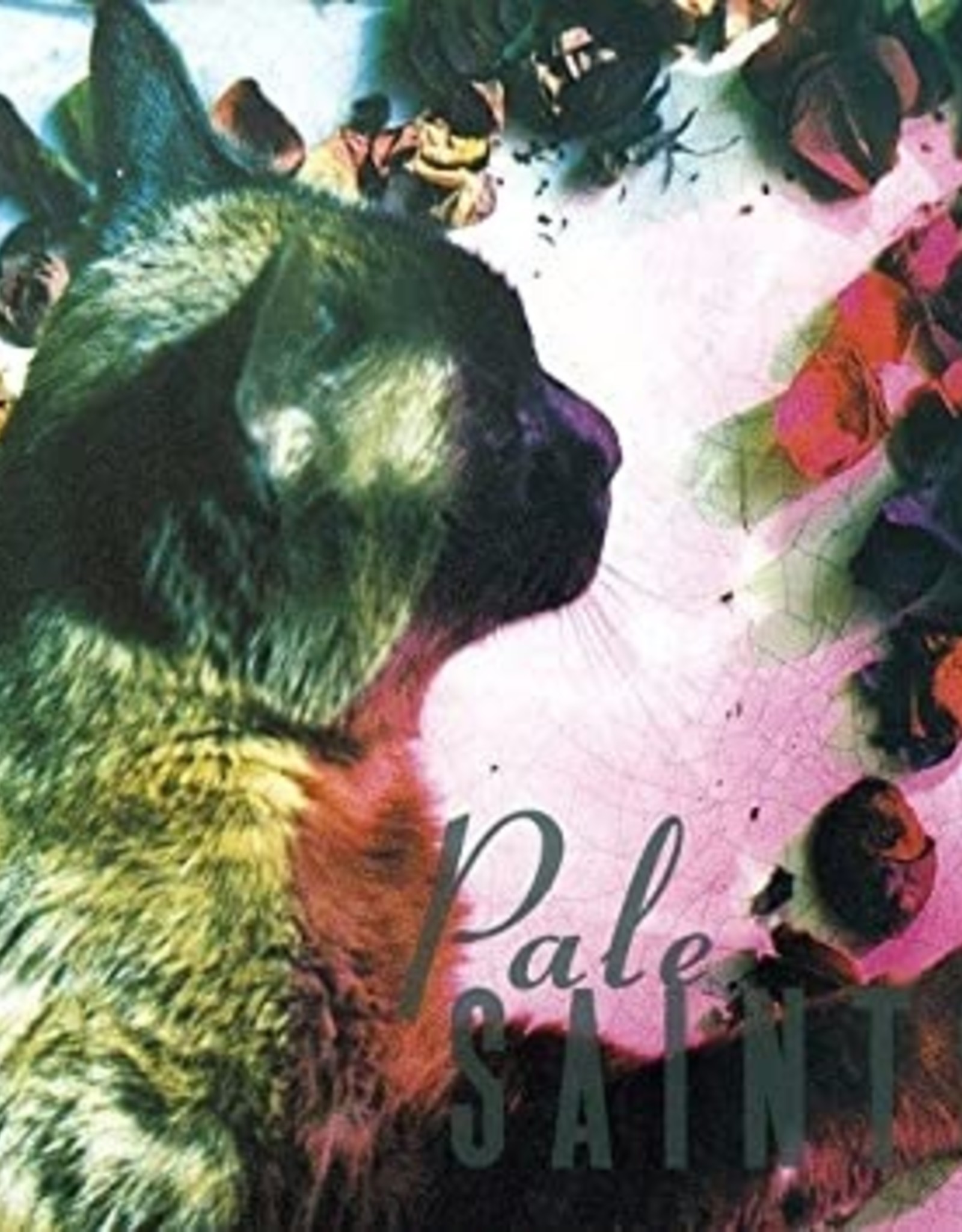 Pale Saints - The Comforts of Madness (30th Anniversary Reissue)