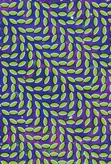 Animal Collective - Merriweather Post Pavilion
