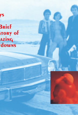 Lilys -  A Brief History Of Amazing Letdowns