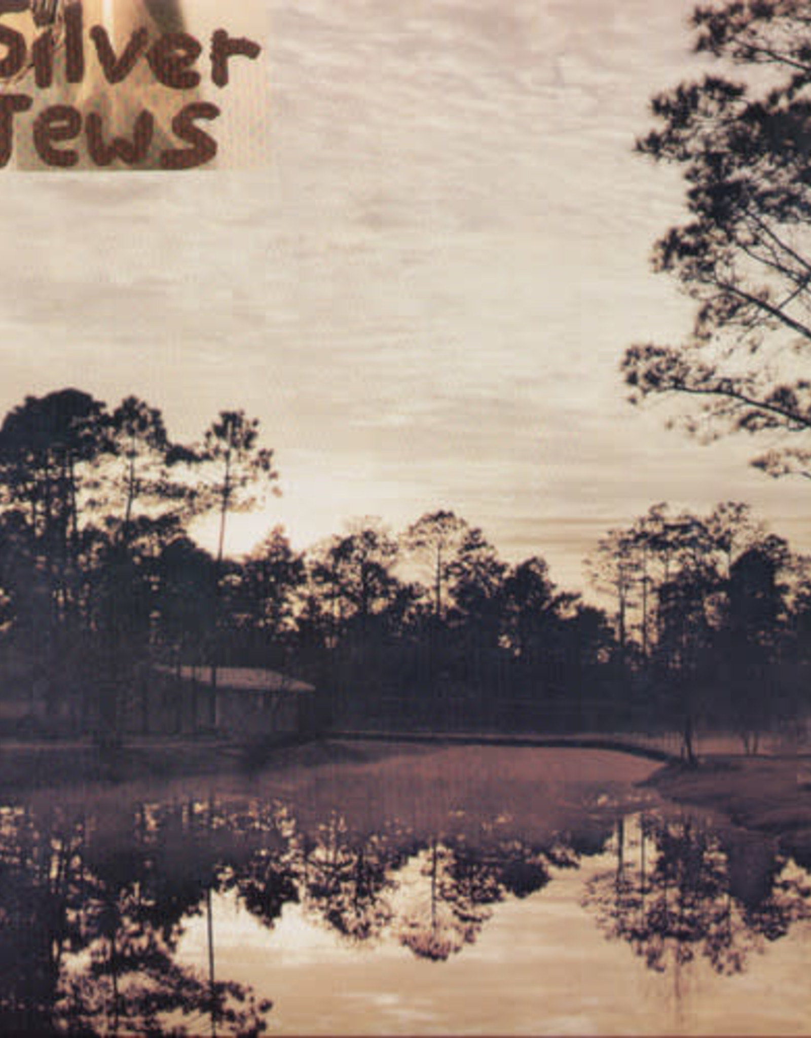 Silver Jews - Starlite Walker