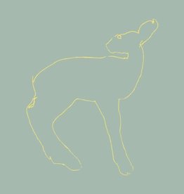 Songs:Ohia - Hecla and Griper [15th Anniversary Edition]