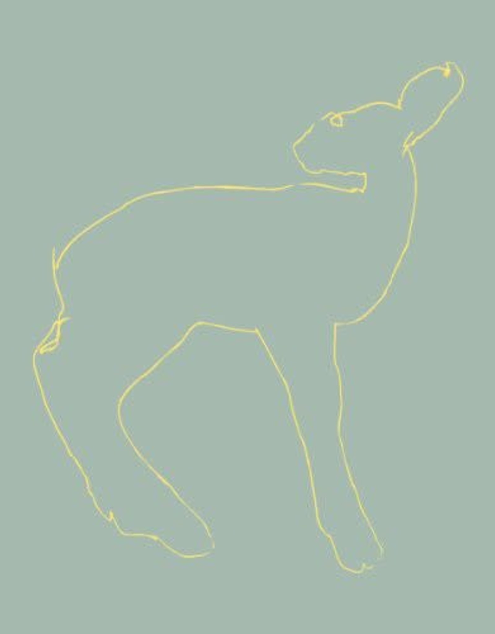 Songs:Ohia - Hecla and Griper [15th Anniversary Edition]