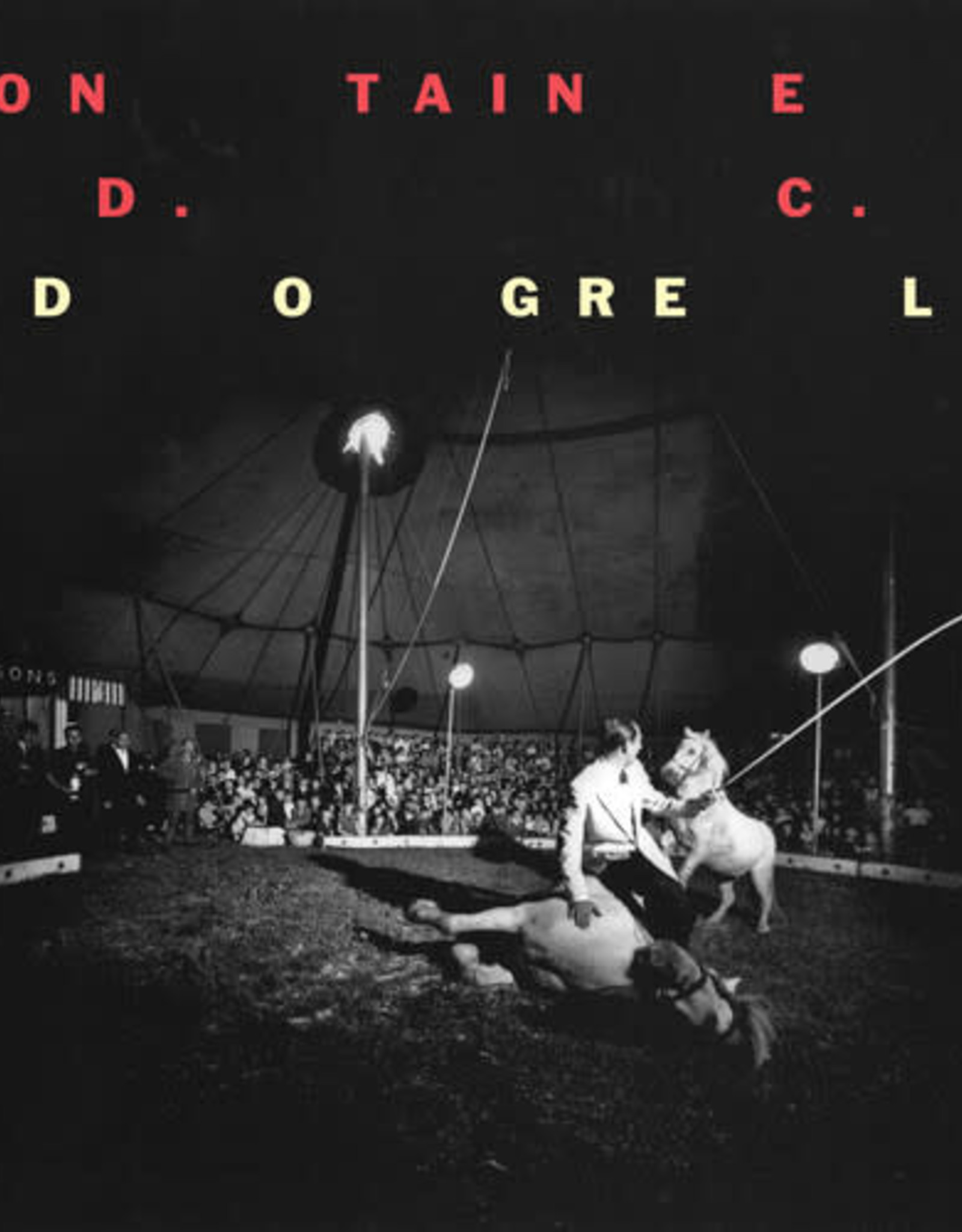 Fontaines Dc - Dogrel