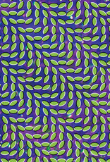 Animal Collective - Merriweather Post Pavilion