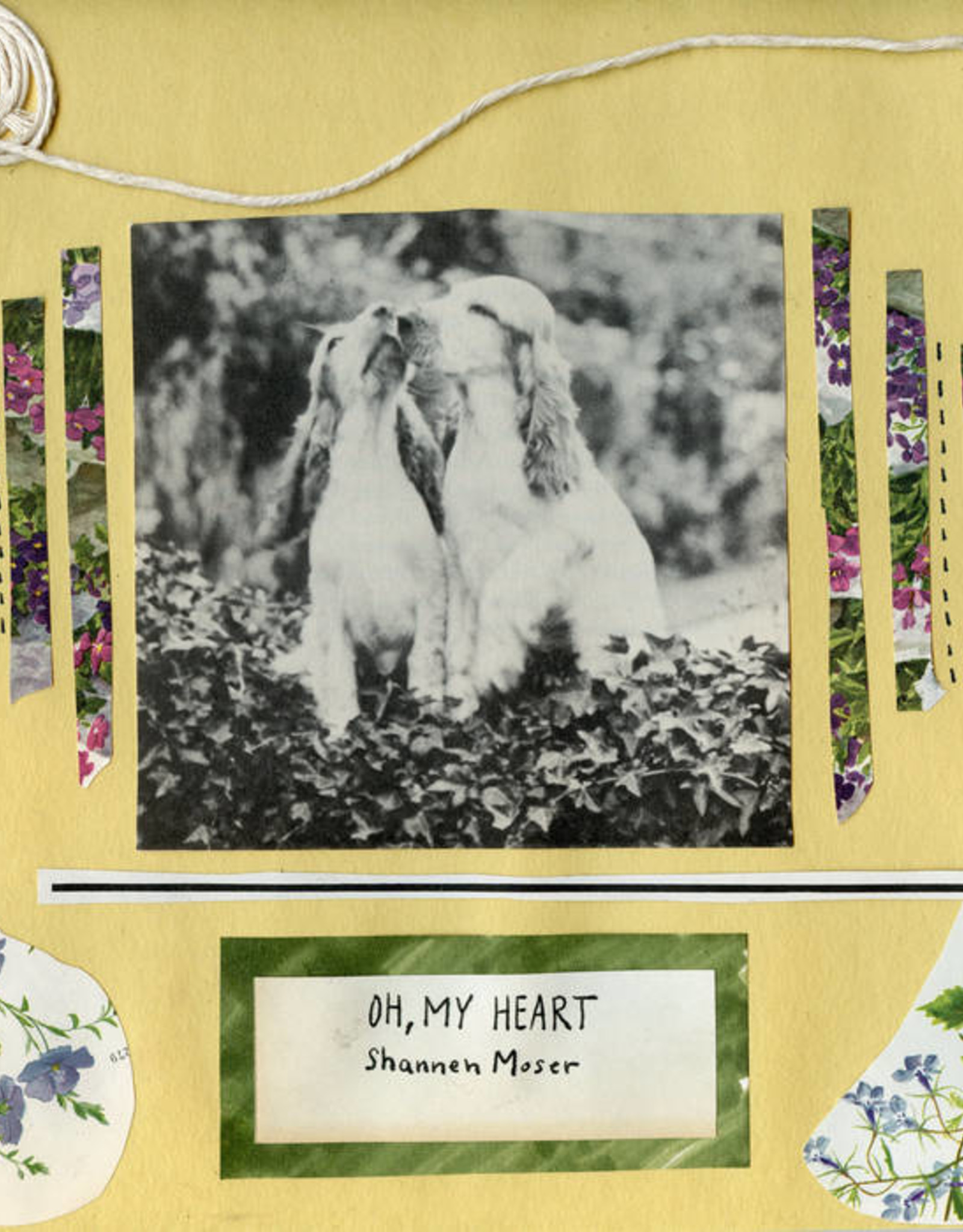 Shannen Moser - Oh My Heart