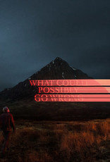 Dominic Fike - What Could Possibly Go Wrong