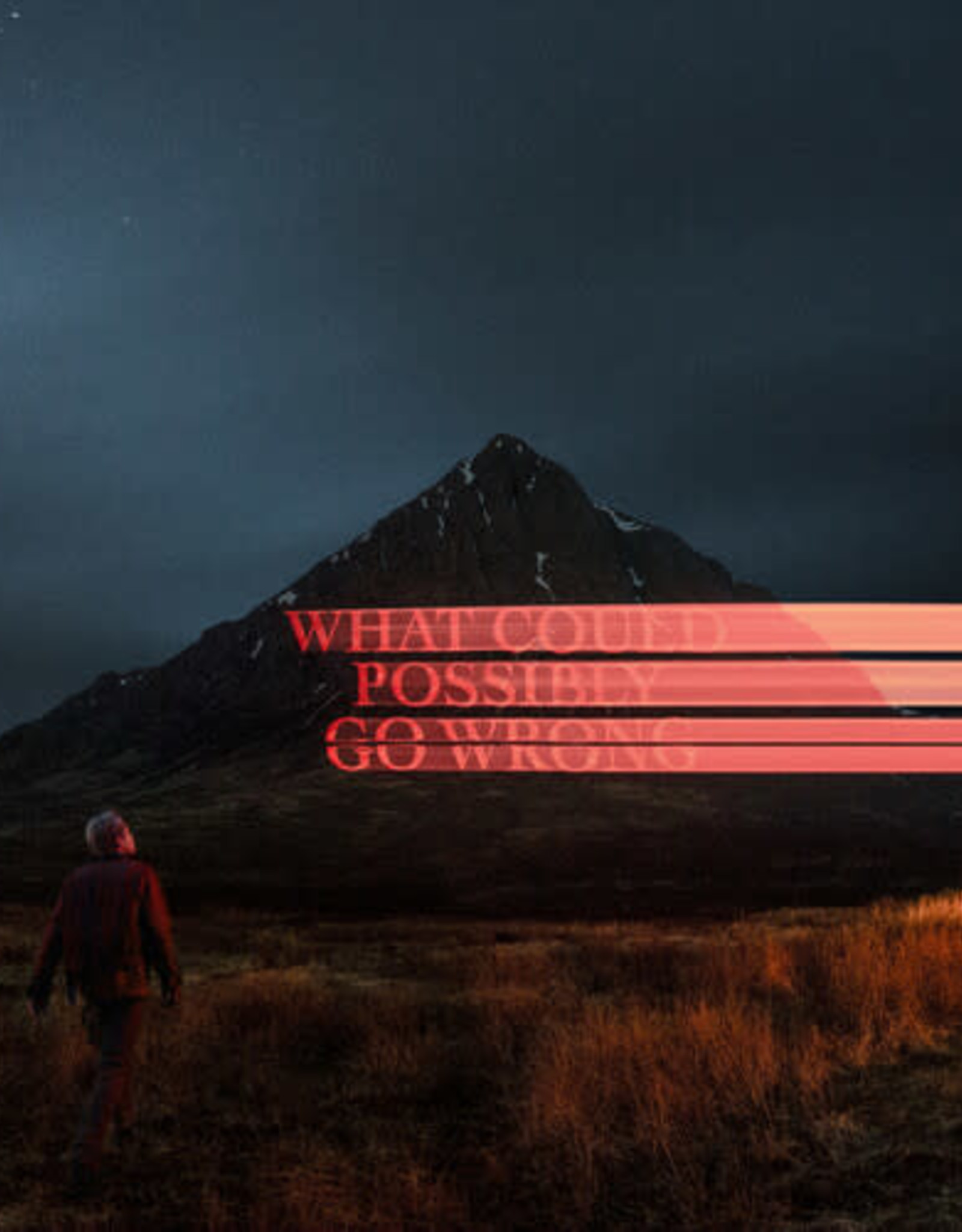 Dominic Fike - What Could Possibly Go Wrong
