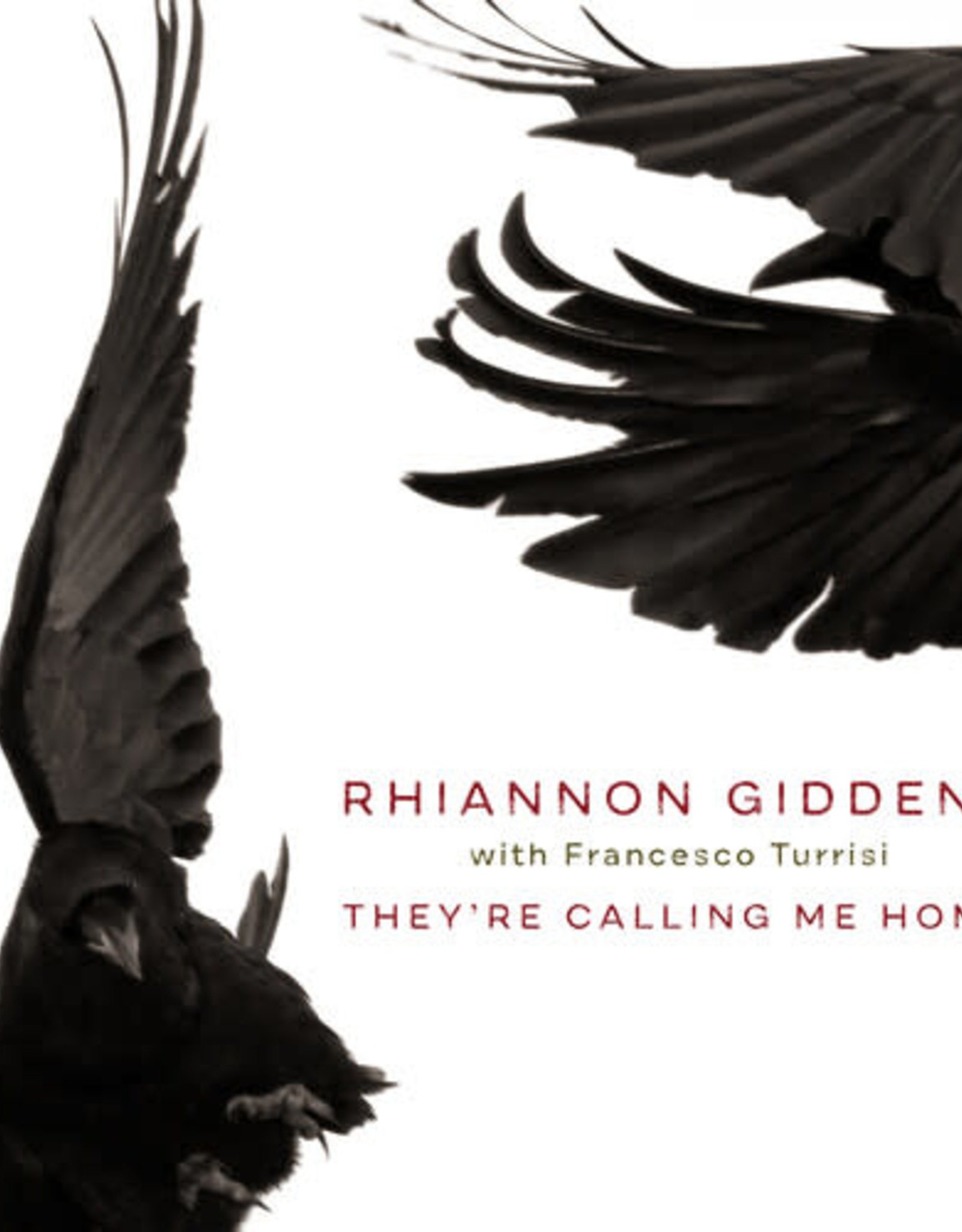 Rhiannon Giddens - They're Calling Me Home
