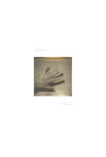 Grouper - Shade