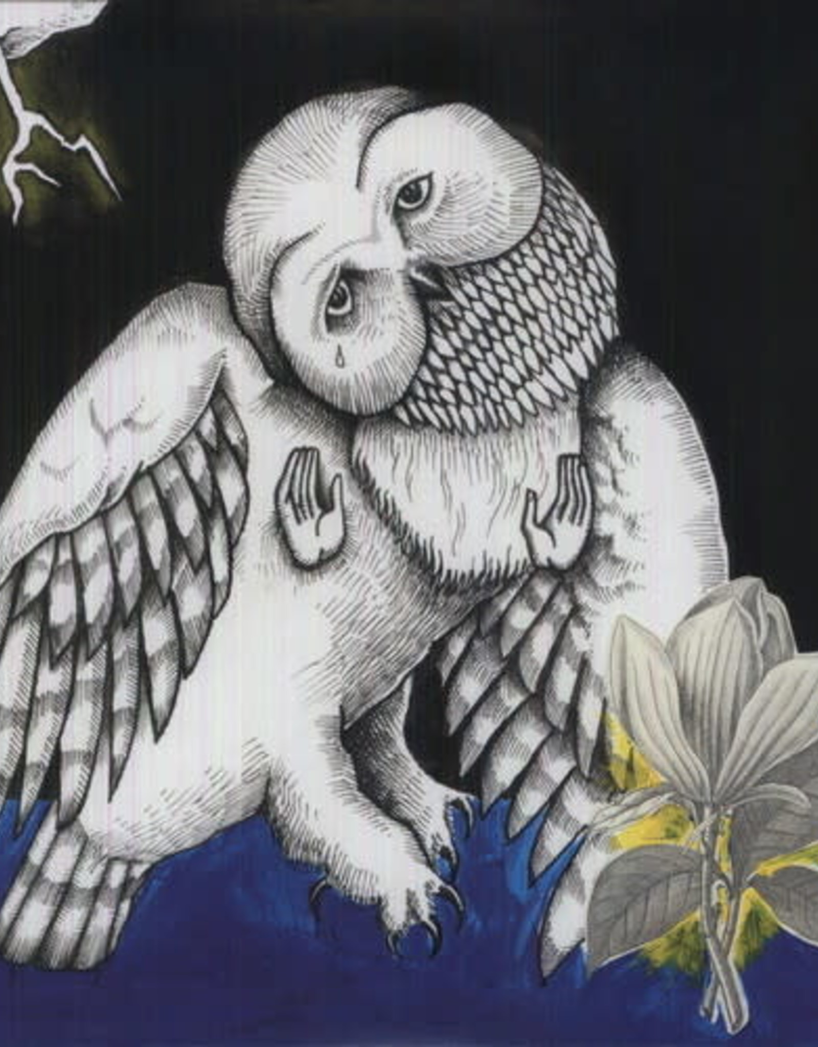 Songs: Ohia - Magnolia Electric Company Co (Deluxe Edition, Reissue)