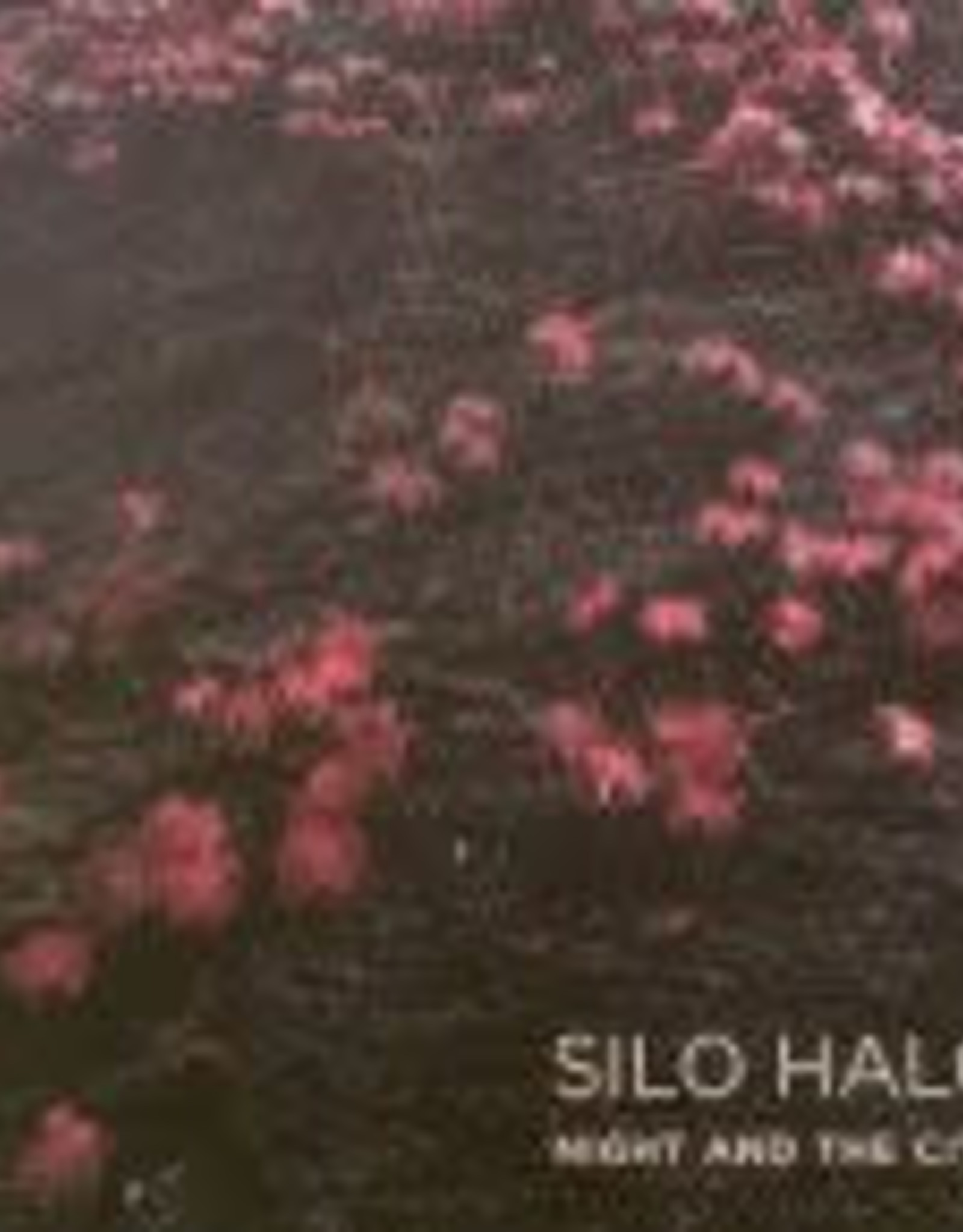 Silo Halo - Night and the City