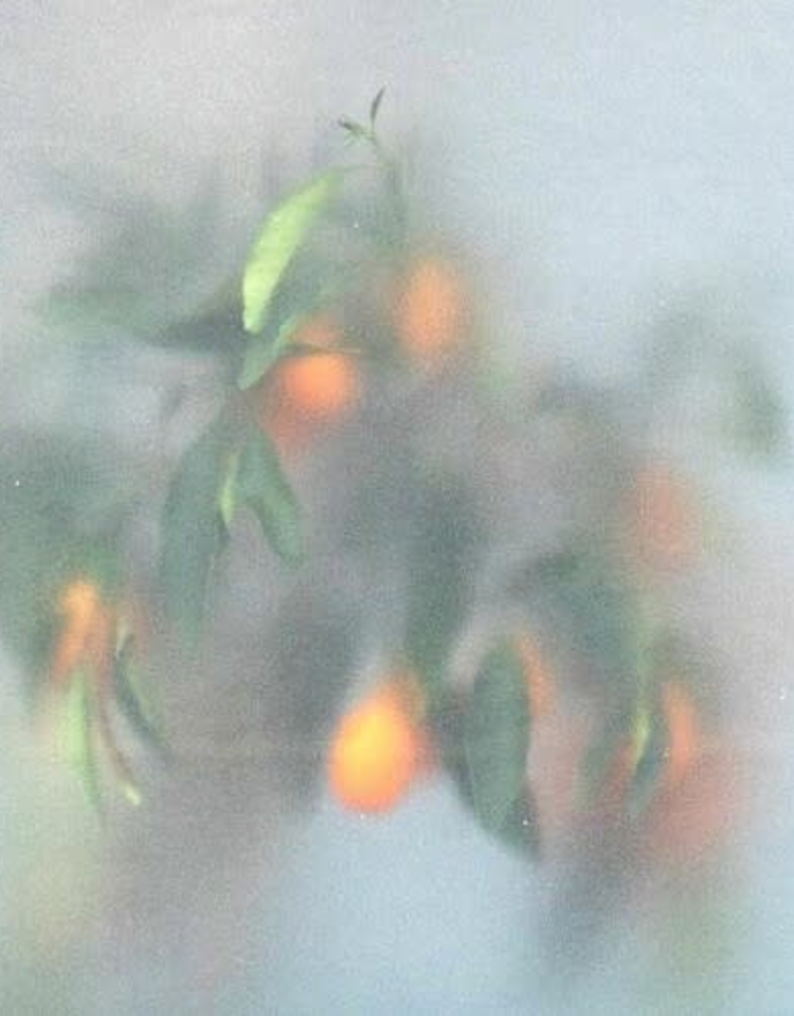 U-Ziq & Mrs Jynx - Secret Garden (Green Vinyl)