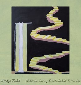 Porridge Radio - Waterslide, Diving Board, Ladder To The Sky'
