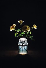 Billy Strings - Renewal