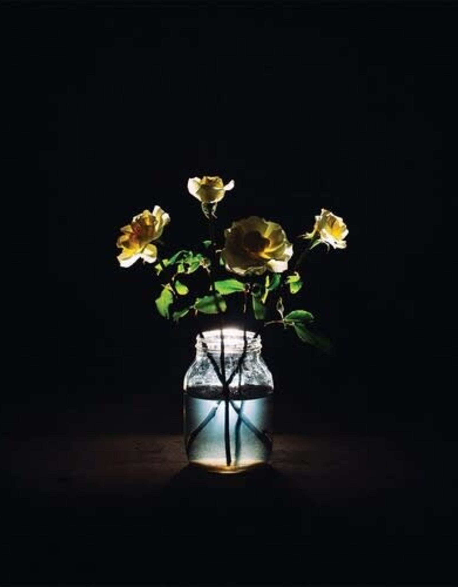 Billy Strings - Renewal