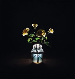 Billy Strings - Renewal