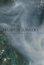Damien Jurado - Caught in the Trees